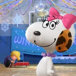 Meet your Posher, Colleen